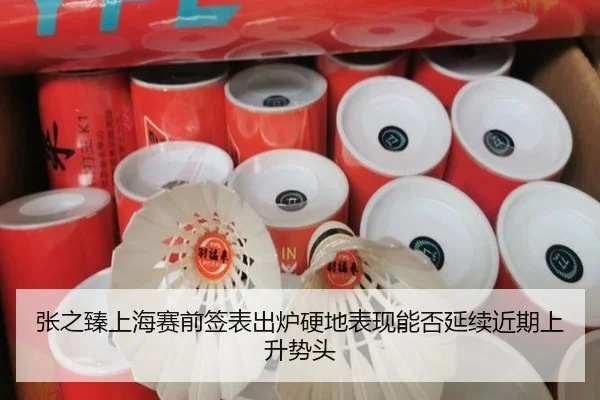 张之臻上海赛前签表出炉硬地表现能否延续近期上升势头（youbotiyu）